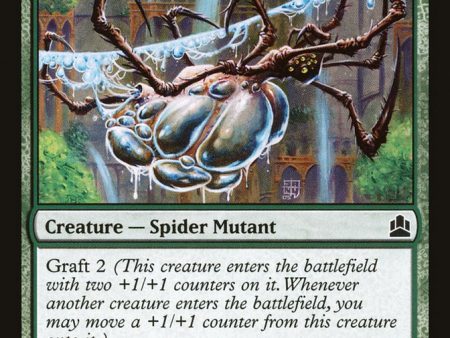 Aquastrand Spider [Commander 2011] For Cheap