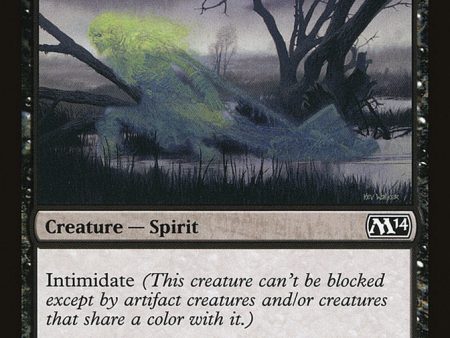 Accursed Spirit [Magic 2014] For Cheap