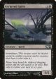 Accursed Spirit [Magic 2014] For Cheap